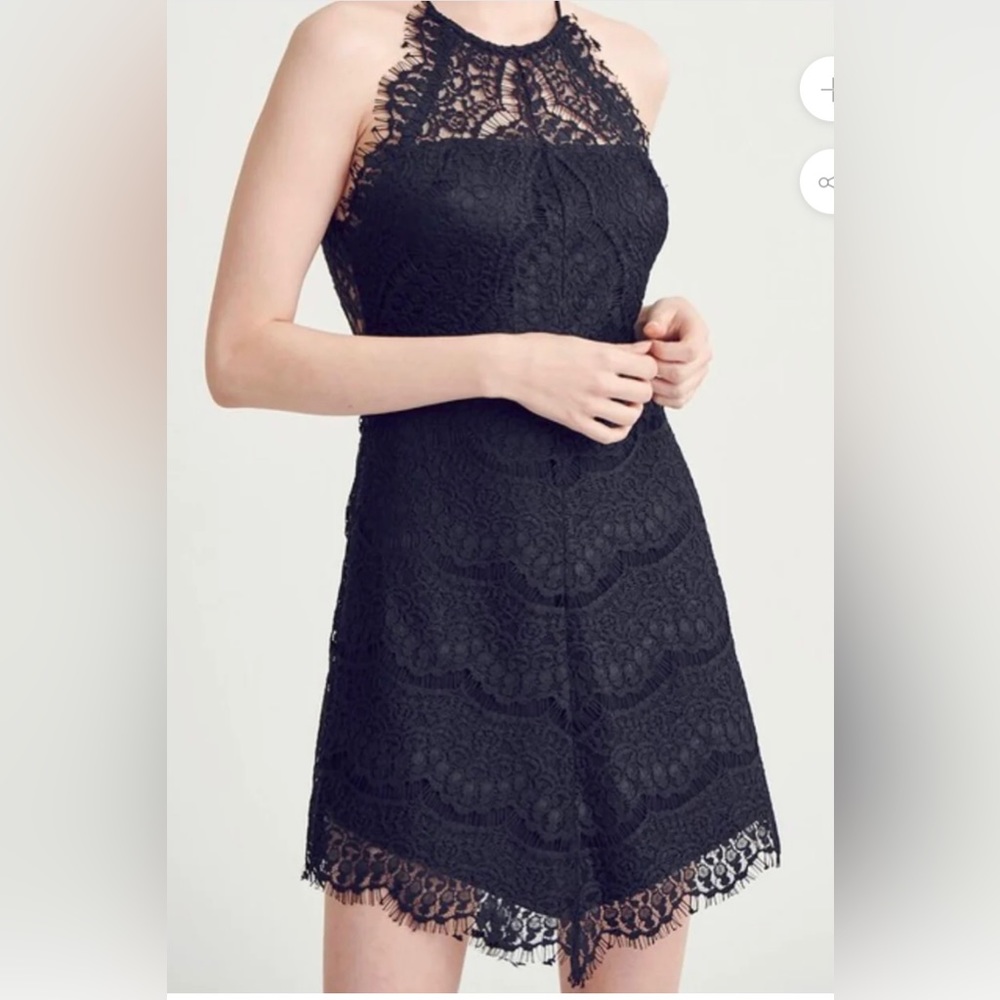 Wishlist Apparel Sleeveless Halter Lace Black Mini Dress Size Medium NWT